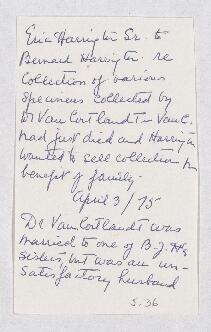 Letter, 3 April 1875